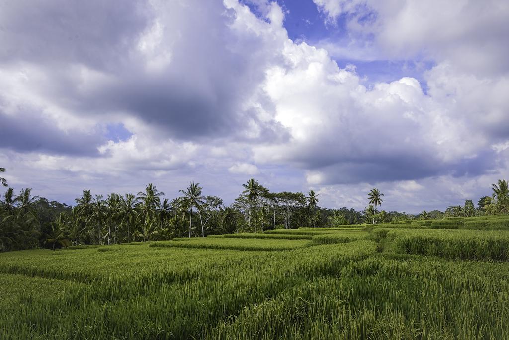 Anusara Luxury Villas (Adults Only) Ubud Exterior foto